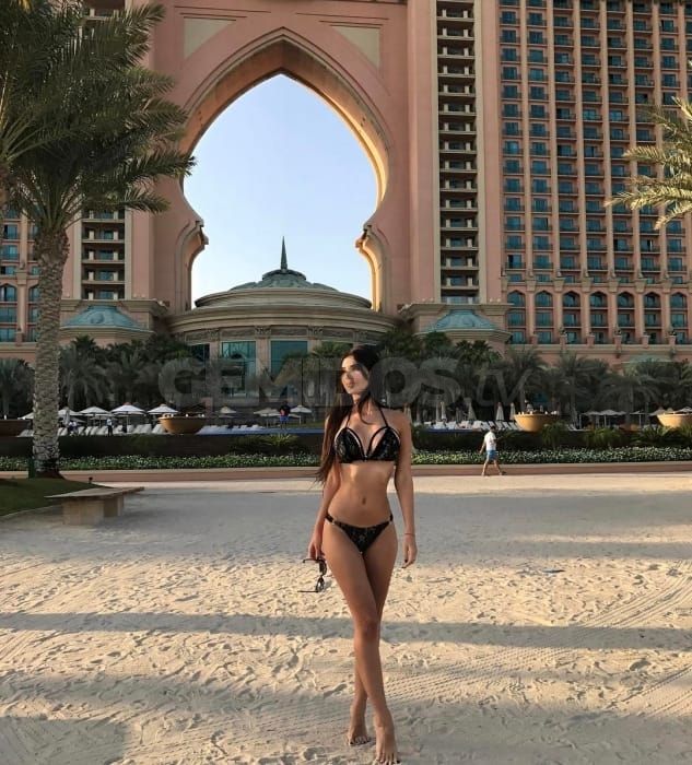 Lana LapdogHeaven