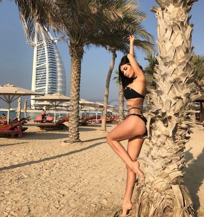 Lana LapdogHeaven