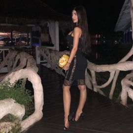 Lana LapdogHeaven