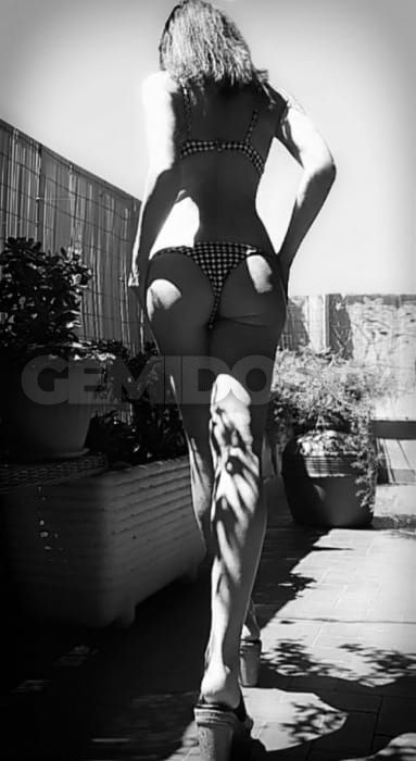Alaia