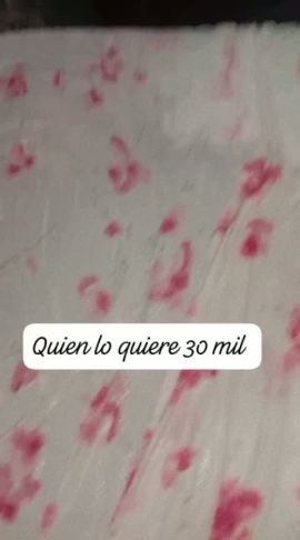 Lola 