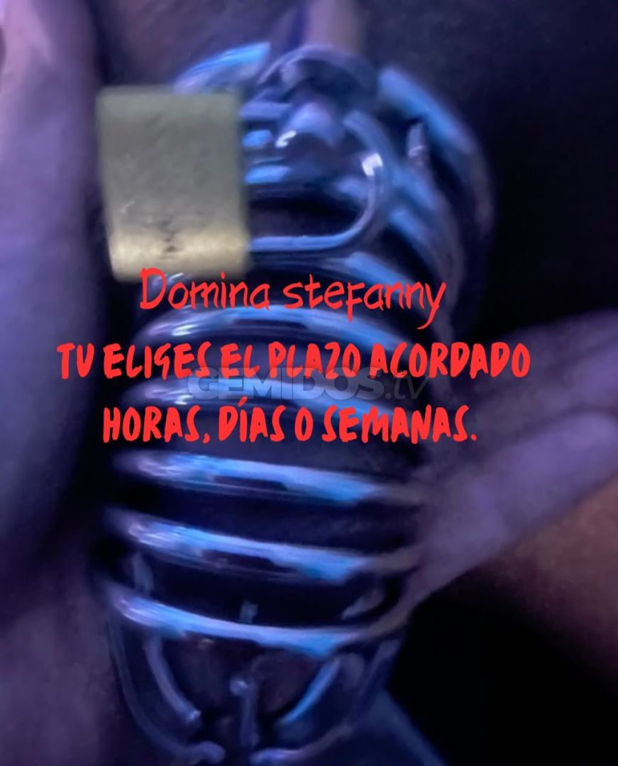 Stefanny