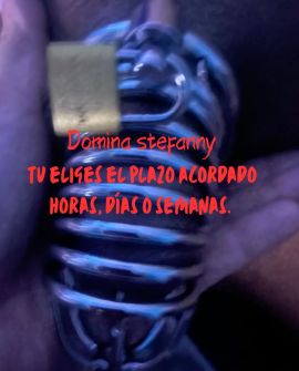 Stefanny