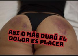 Stefanny