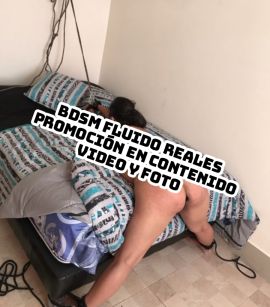 Stefanny