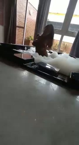 Cata
