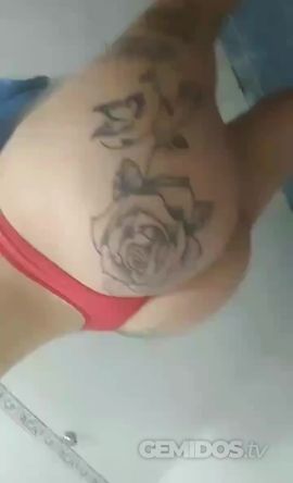 Taty 