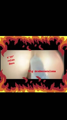 Rebeca