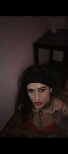 Rehyna Trans