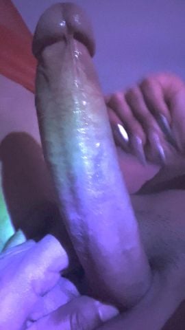 Rehyna Trans