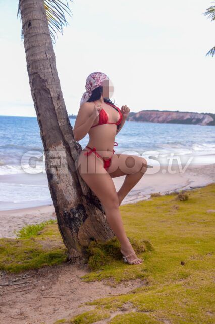 Layla Amorim