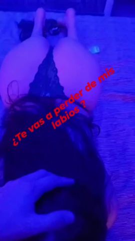 Tamy