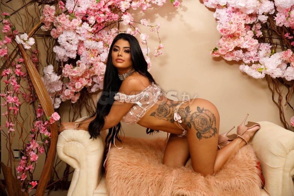 Stefani