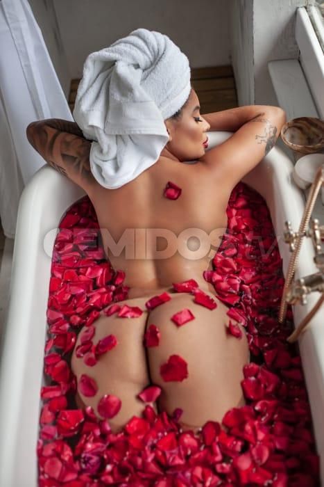 Vick Luz
