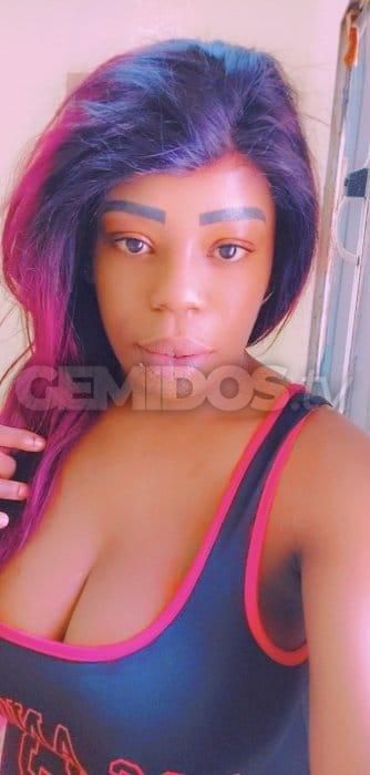 Rexa Doll