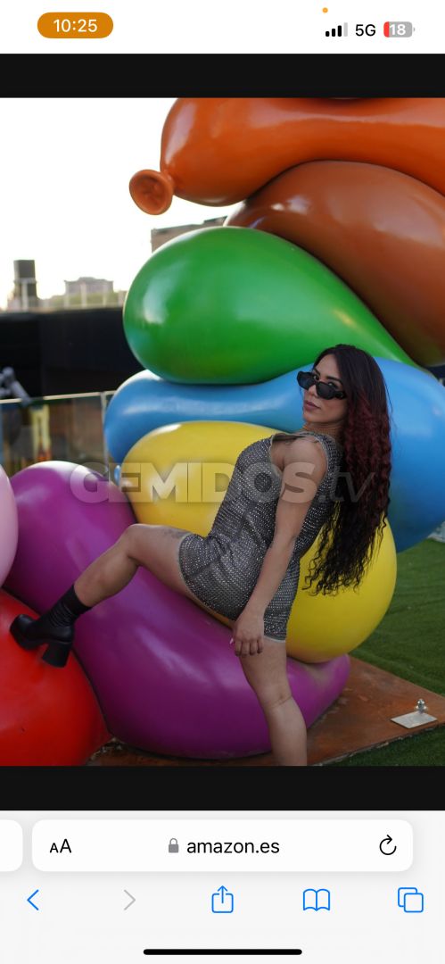 brisa