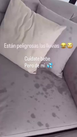Cam