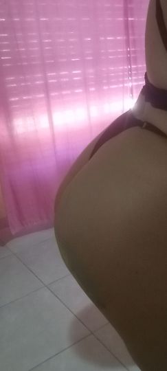 Tamy 