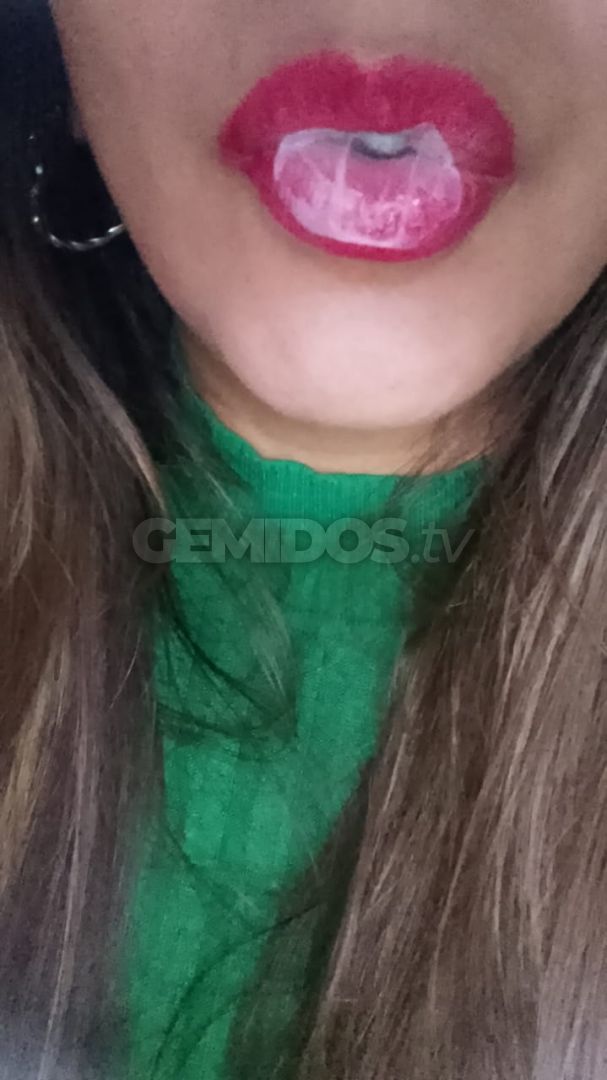 Solcito