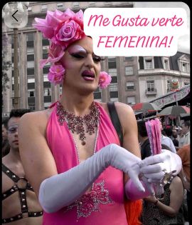 Condesa  Goodes