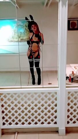 Harley 