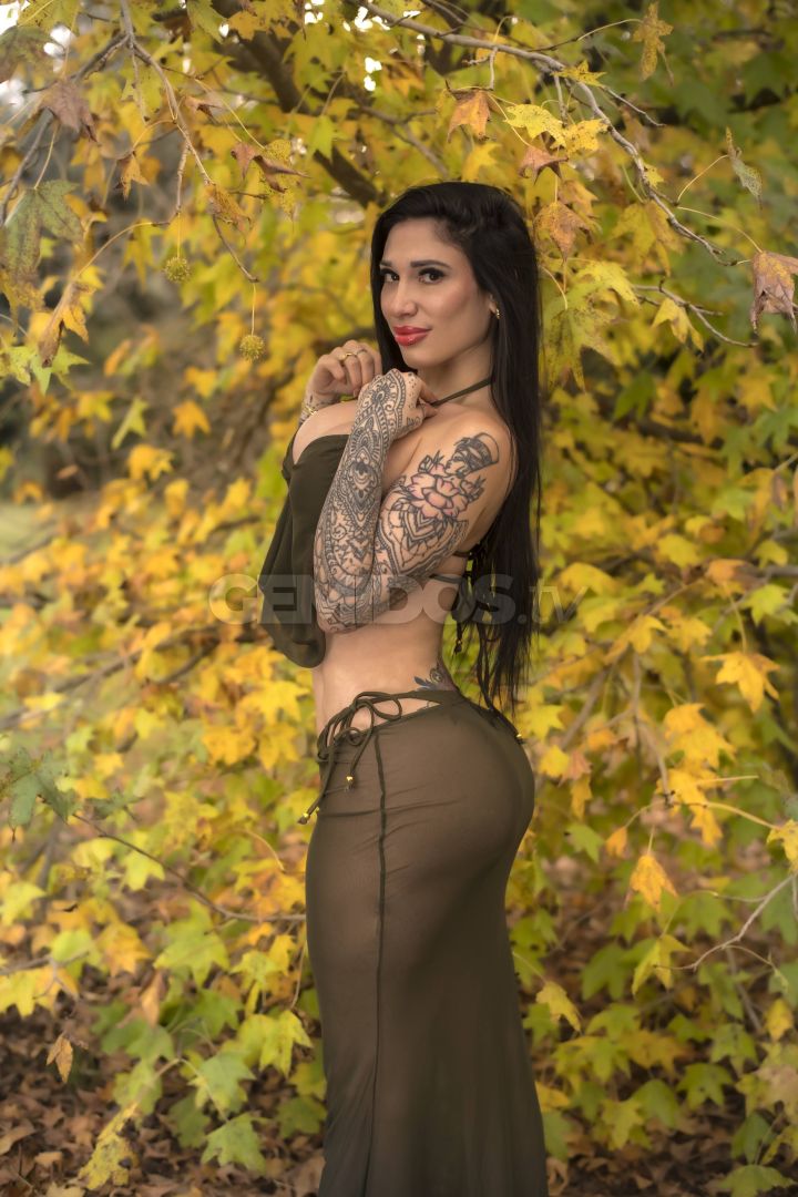 Sofia