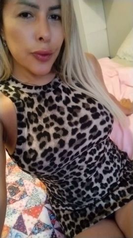 Lizz Trans 