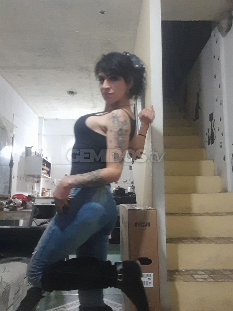 Brisa