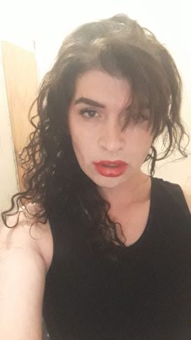 Brisa