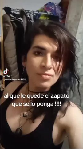 Brisa