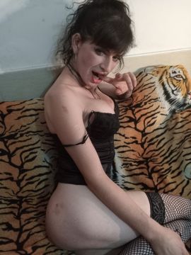 Brisa