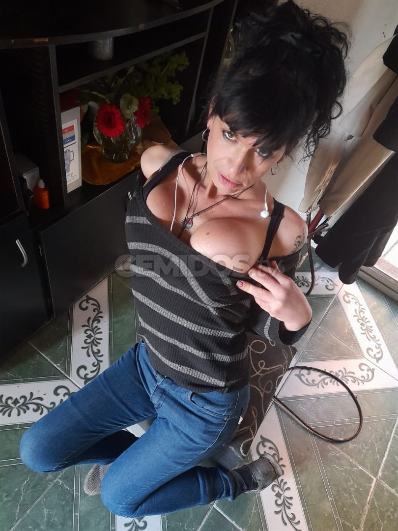 Brisa