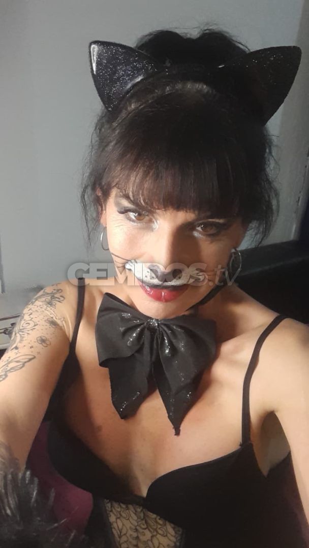 Brisa