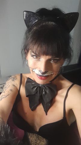 Brisa