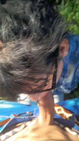 Brisa
