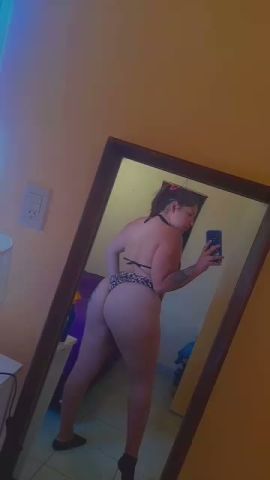 Brisa