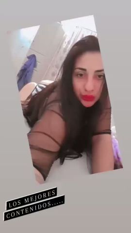 Gala