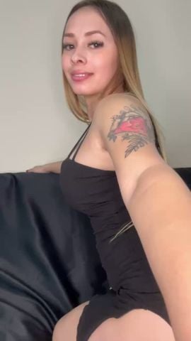 Brisa