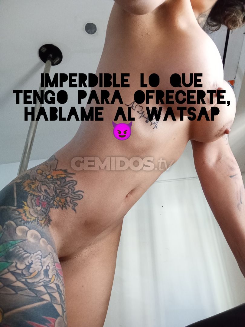 Lolo Vip