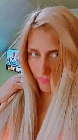 Brisa