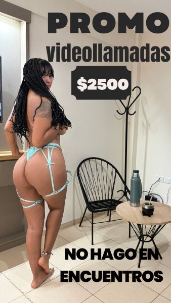 Hola mi amor... ¿Estás solo y con ganas de pasar un momento bien picante y sin censura? Estoy disponible AHORA MISMO para cumplir todas tus fantasías desde la pantalla.

Atiendo 100% real, con la mejor onda, cero apuro y total discreción. ¡Vos elegís cómo querés disfrutarme hoy!

✨ MIS SERVICIOS VIRTUALES:

VIDEOLLAMADAS HOT: Show personalizado, interactivo y en alta definición. Hago lo que me pidas, sin vueltas.

SEXTING PREMIUN: Chat caliente por WhatsApp o Telegram. Te envío fotos explícitas, videos cortitos del momento y audios que te van a volver loco.

FETICHES & FANTASÍAS: Cumplo tus gustos más ocultos (pies, dominación, disfraces, etc.). Contame qué te calienta y lo hacemos realidad.

VENTA DE ROPA INTERIOR: Lencería usada y personalizada. Te la envío por correo bien sellada y perfumada (consultar stock y envíos).

⚠️ IMPORTANTE: Solo realizo servicio VIRTUAL, no hago encuentros presenciales. Envíos de contenido a todo el país.

💳 MEDIOS DE PAGO RÁPIDOS:
Mercado Pago, transferencia bancaria, Lemon Cash o Crypto (pago inmediato, servicio inmediato).

👉 ¡Escribime ya mismo y activamos! Hacé clic en el botón de WhatsApp o agregame directo a mi Telegram. ¡No te quedes con las ganas!